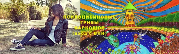 не бодяженный Магас