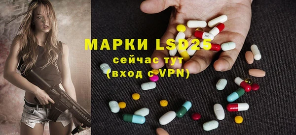 ГАЛЛЮЦИНОГЕННЫЕ ГРИБЫ Магадан