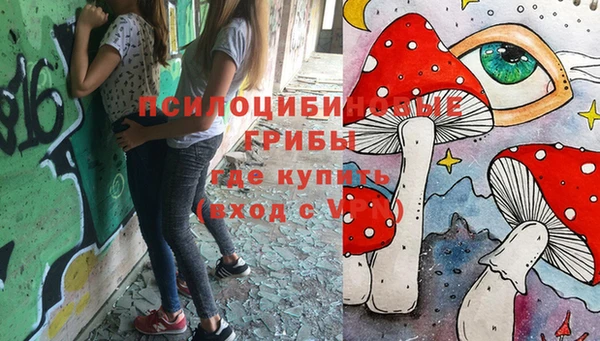 не бодяженный Магас