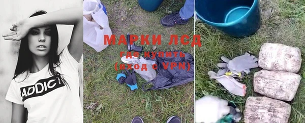 ГАЛЛЮЦИНОГЕННЫЕ ГРИБЫ Магадан