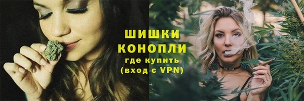 стаф Майский