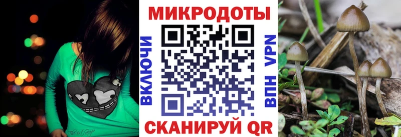 Галлюциногенные грибы Cubensis  дарнет шоп  Берёзовка 